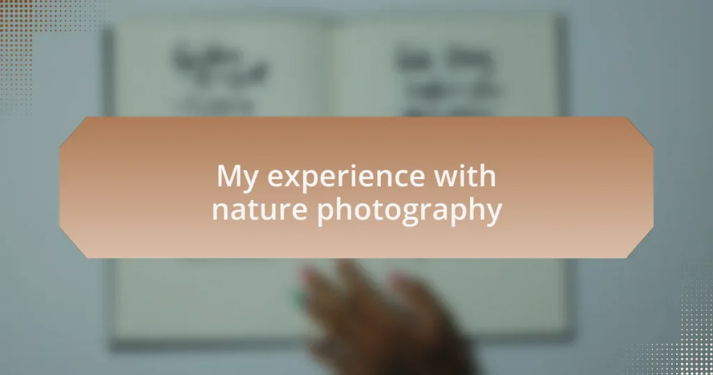 My experience with nature photography