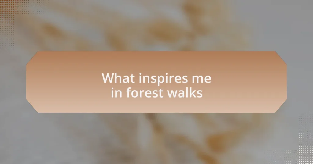 What inspires me in forest walks